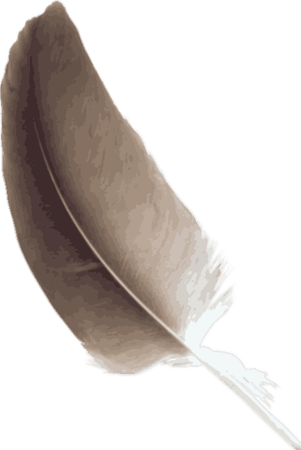 Signification Plume Grise et Blanche