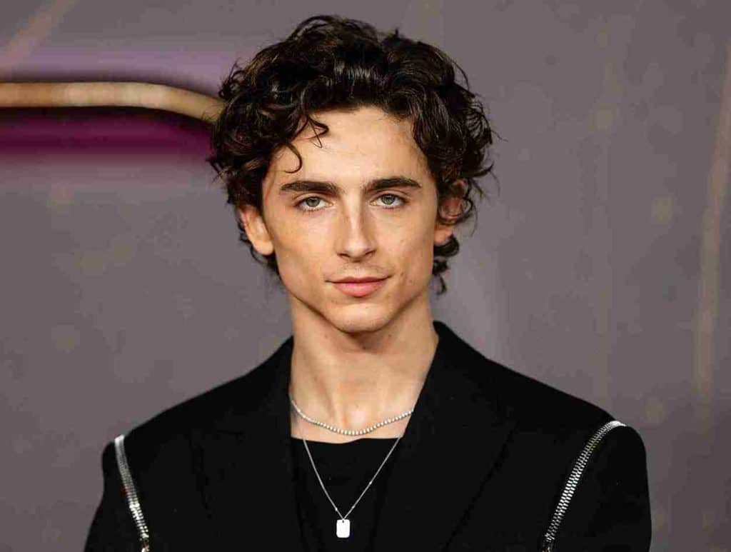 Timothée Chalamet biography