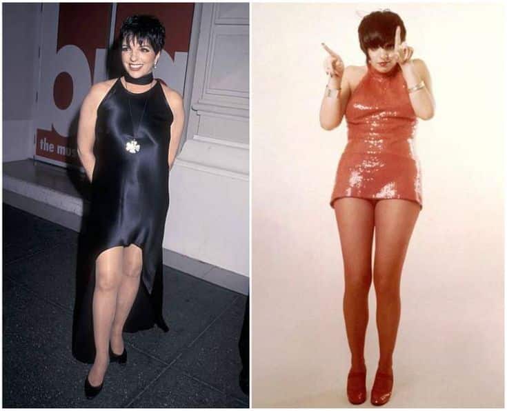 Liza Minnelli height