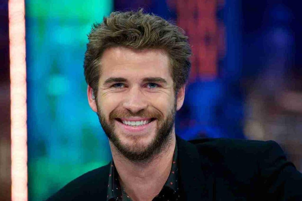 Liam Hemsworth biography