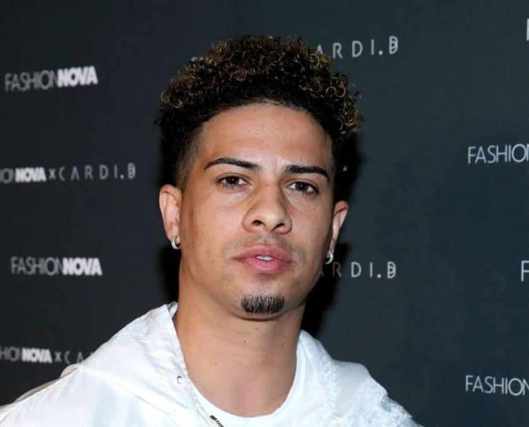 austin mcbroom wiki